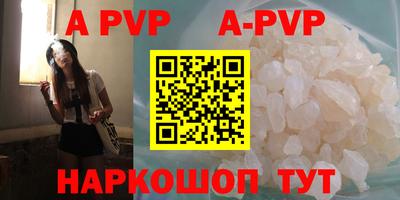 гашик Кунгур