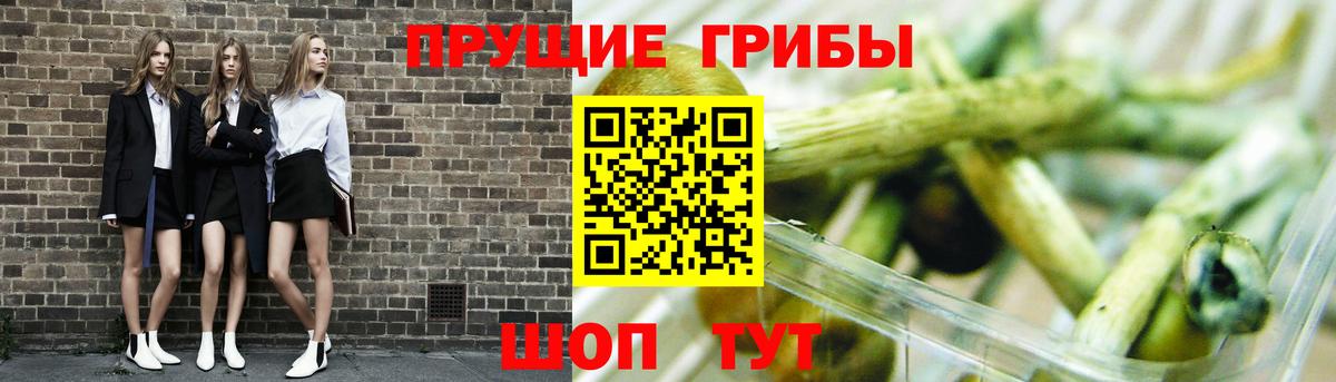 Галлюциногенные грибы мухоморы Кандалакша